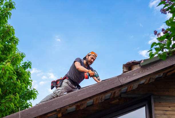 Reliable Jackson, SC Roofing services Solutions
